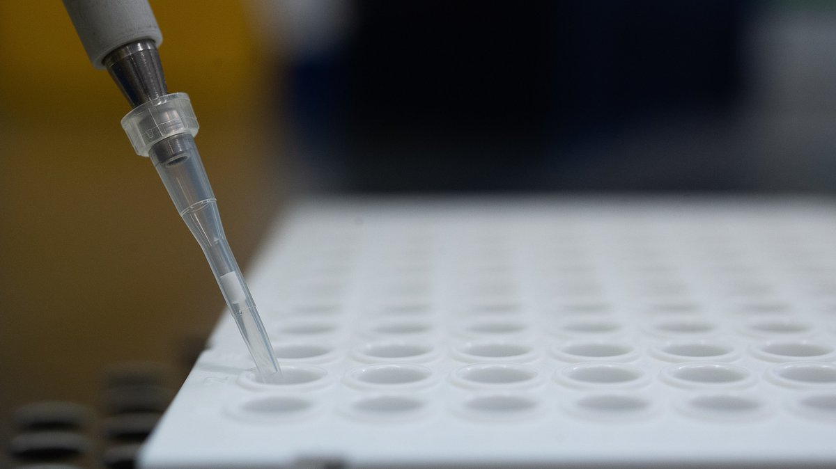 PCR-Test für die Analyse auf Mutationen des Coronavirus