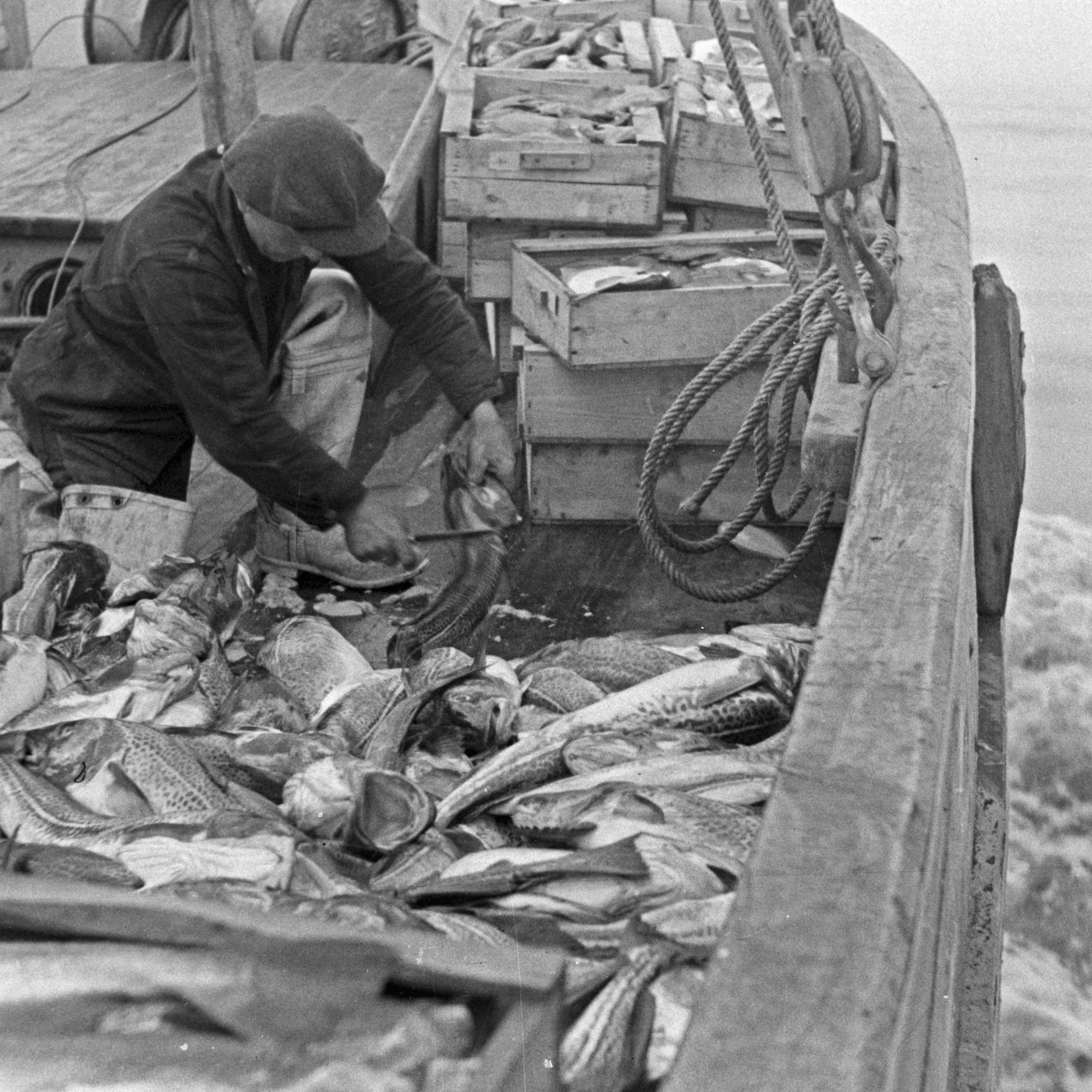 Alles Geschichte - Der History-Podcast