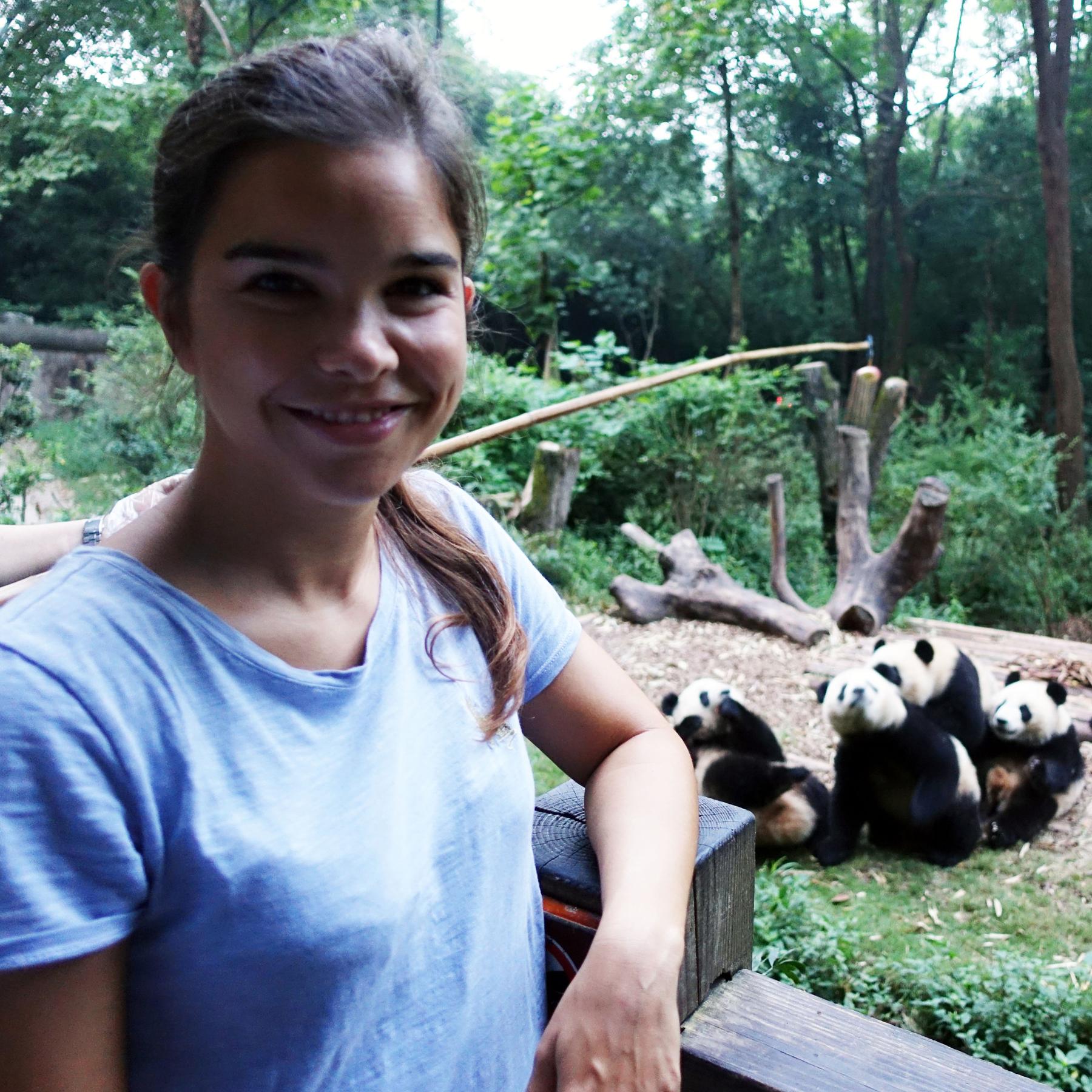 Zu Besuch bei Großen Pandas, Takins und Riesensalamandern in China