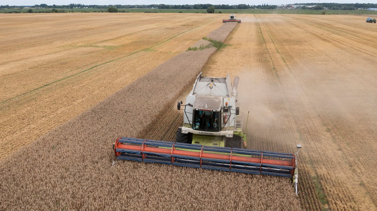 Kreml stoppt vorerst Deal für Getreidelieferungen aus Ukraine