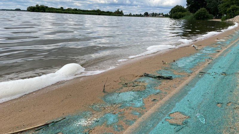 Blaualgen am Altmühlsee. | Bild: BR/Vera Held Blaualgen am Altmühlsee.