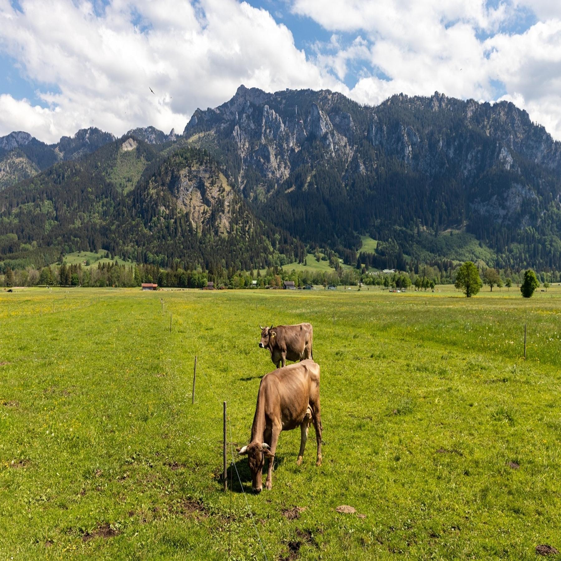 Notizen aus dem Allgäu: Gelebte Erinnerung episode artwork