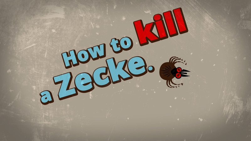 Grafik: Zecke mit Schriftzug "How to kill a Zecke"