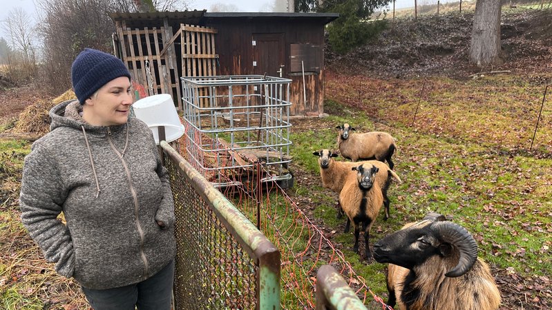 Manuela Huber steht am Gatter bei ihren Ziegen in Ziemetshausen (Landkreis Günzburg). | Bild: BR/Peter Allgaier Manuela Huber steht am Gatter bei ihren Ziegen in Ziemetshausen (Landkreis Günzburg).