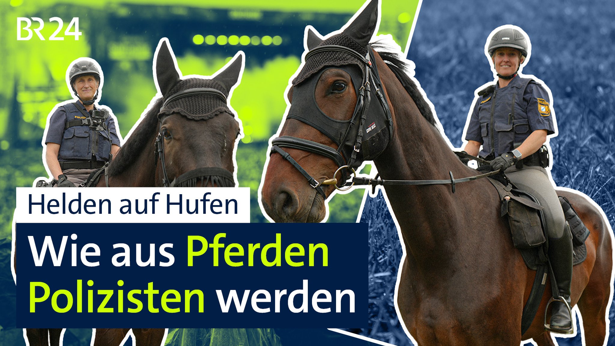 Polizeipferde