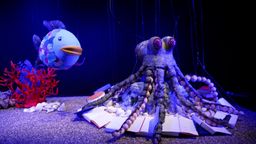 Die Unterwasserwelt im Puppentheaterstück "Der Regenbogenfisch" | Bild:BR
