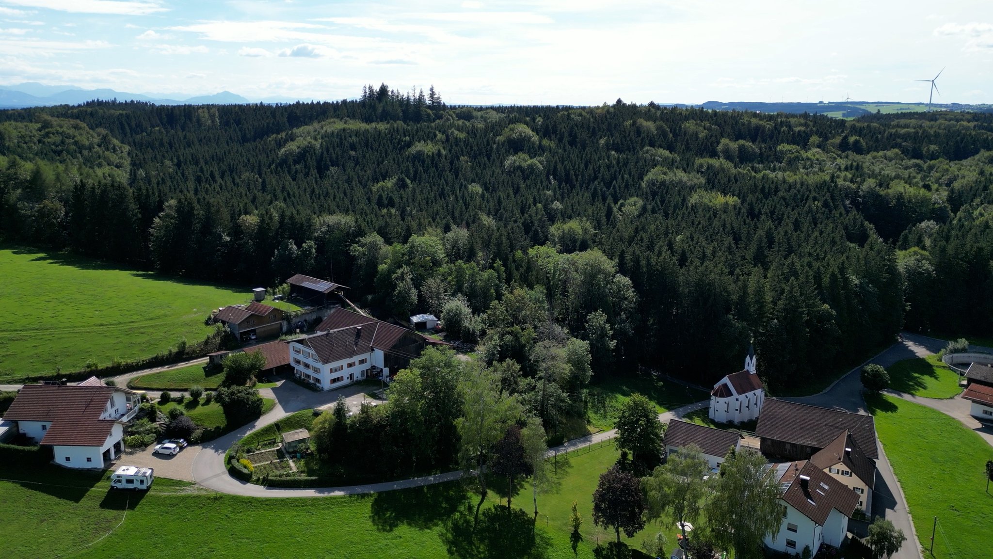 Der Königsberger Forst bei Friesenried im Ostallgäu. | Bild: BR/Simon Frick Der Königsberger Forst bei Friesenried im Ostallgäu.