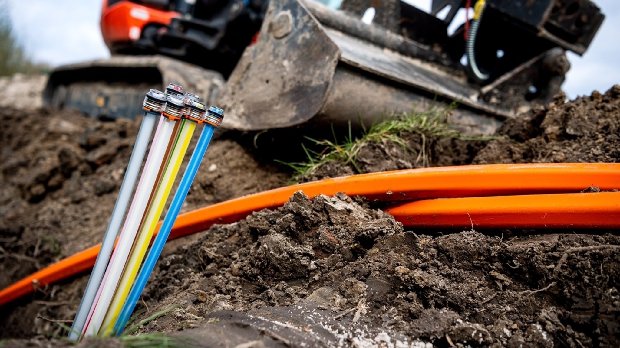 Bunte Kabel ragen aus der Erde, im Hintergrund ein kleiner Bagger