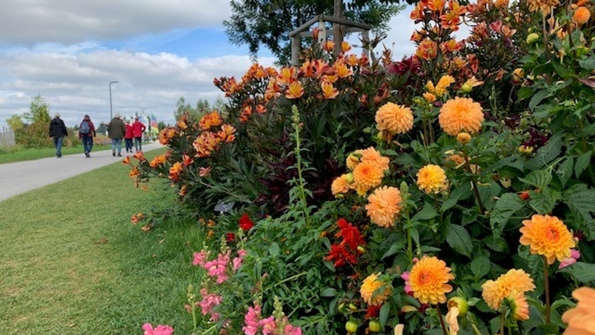 Blumen und Besucher auf der Landesgartenschau in Ingolstadt. 