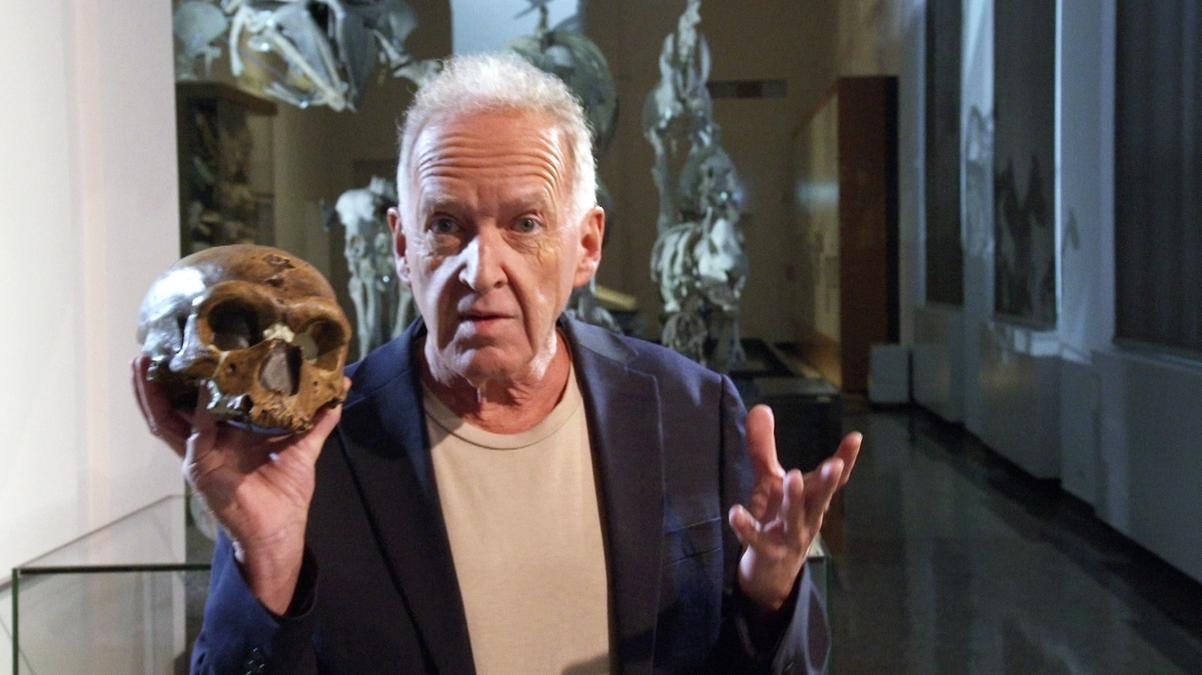 Warum Ist Der Neandertaler Ausgestorben