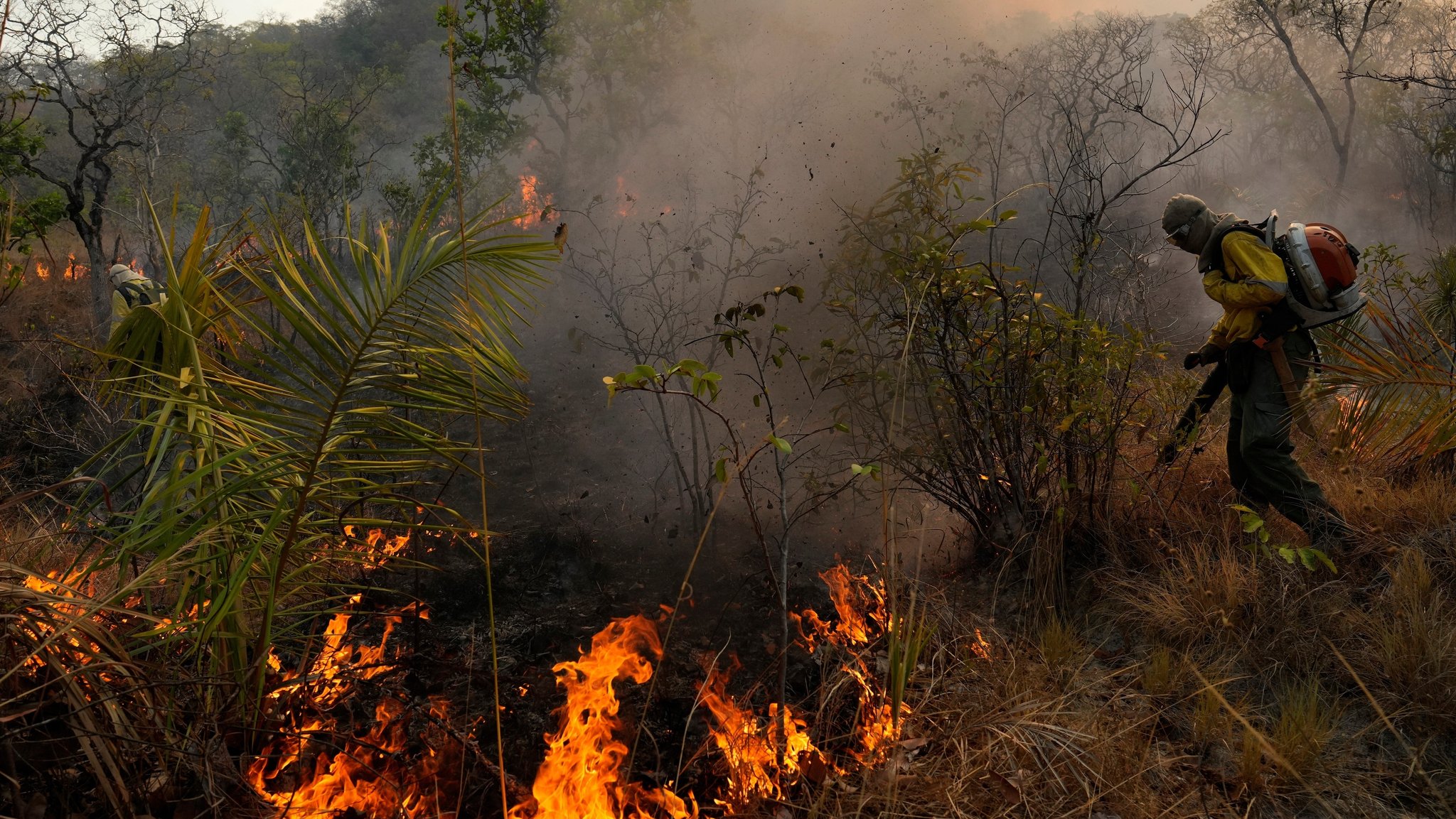 03.10.2025: Ein Feuerwehrmann kämpft gegen einen Waldbrand im braslianischen Bundesstaat Goiás.