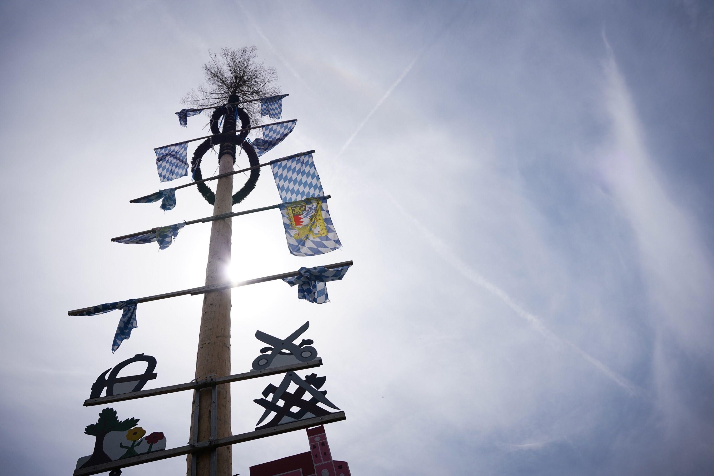 Der Niederpöringer Maibaum