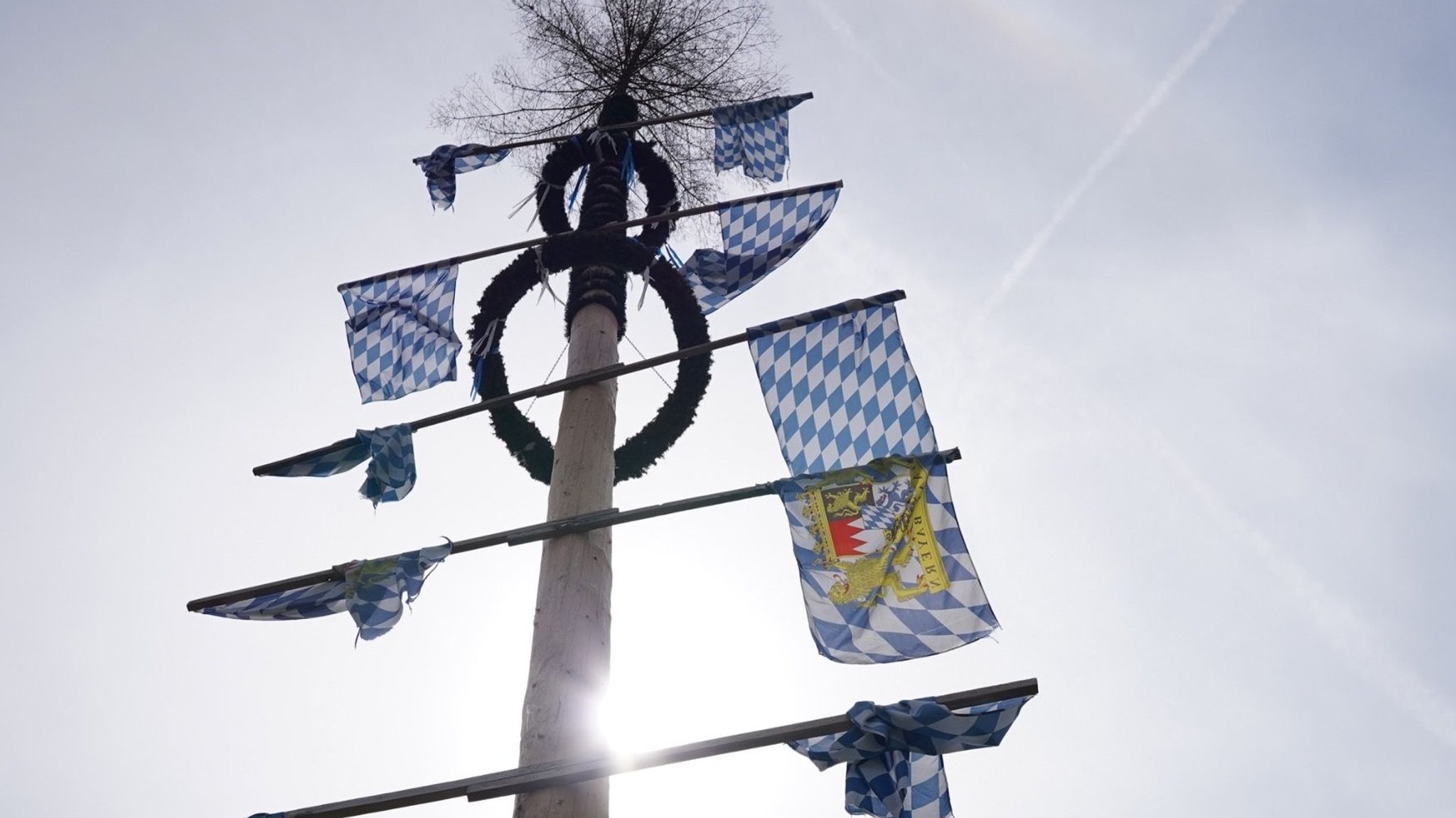 Der Niederpöringer Maibaum