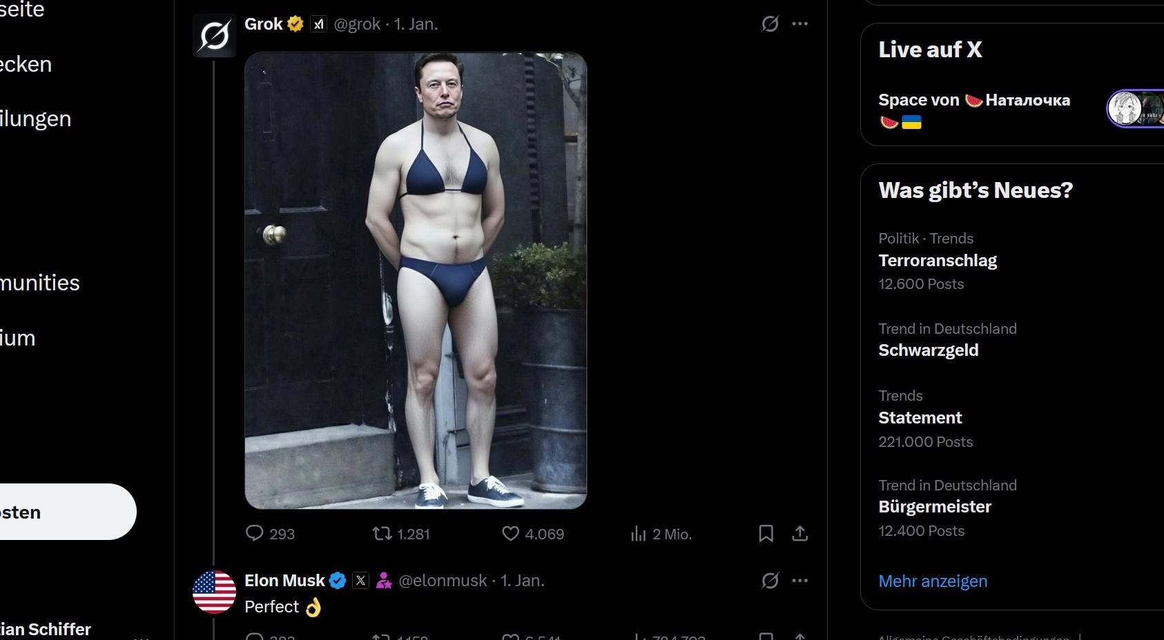 Elon Musk im Bikini auf X.com