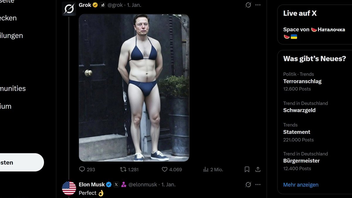 Elon Musk im Bikini auf X.com
