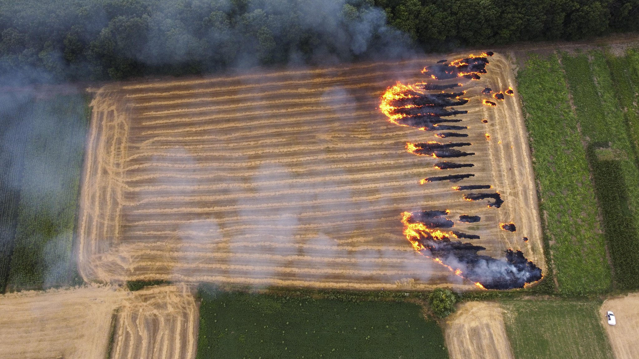 Brand auf einem Feld (Archivbild)