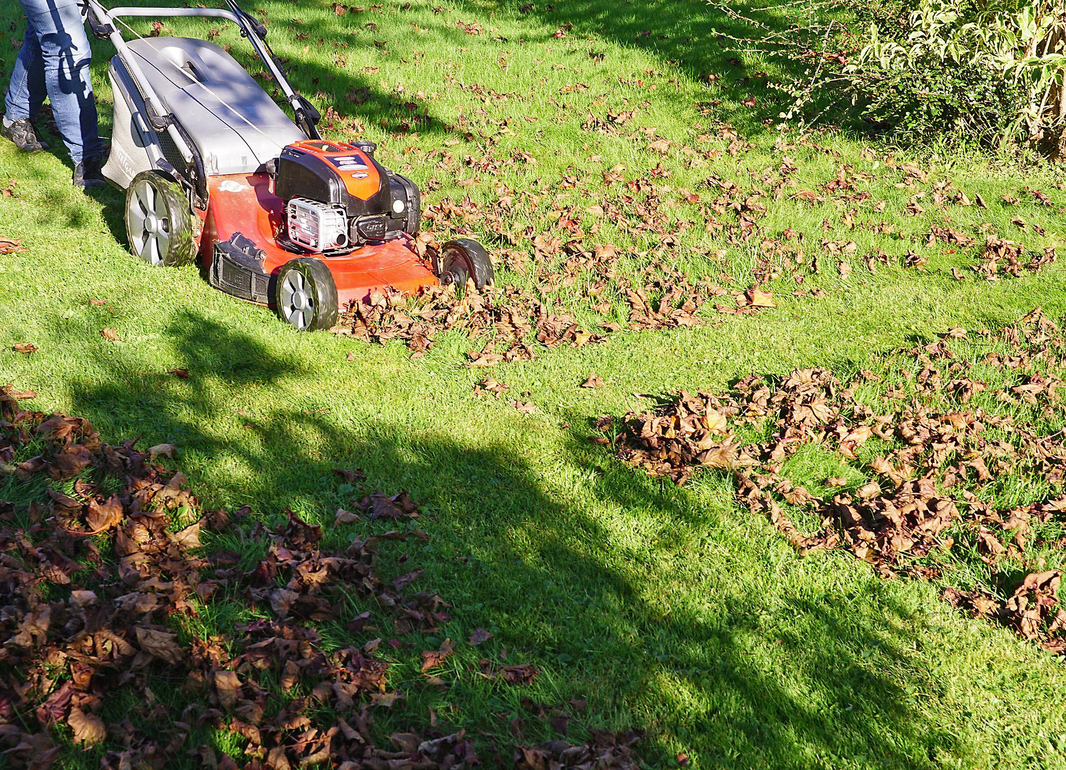 Wann sollte man im Herbst das letzte Mal Rasen mähen? BR24