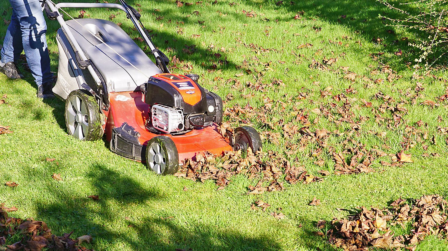 Wann sollte man im Herbst das letzte Mal Rasen mähen? BR24