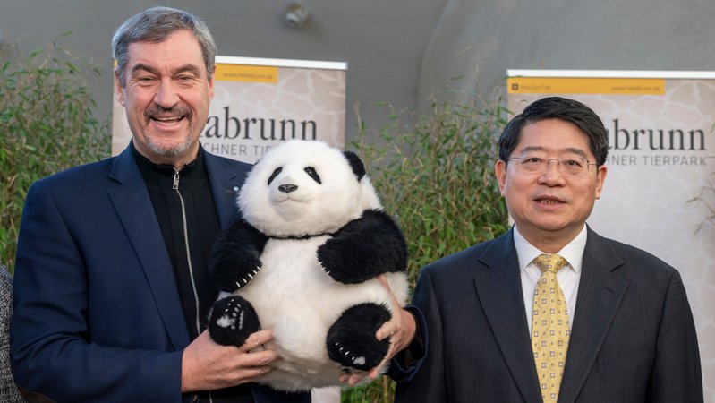 Markus Söder mit einem Plüsch-Panda | Bild: picture alliance/dpa | Peter Kneffel Markus Söder mit einem Plüsch-Panda