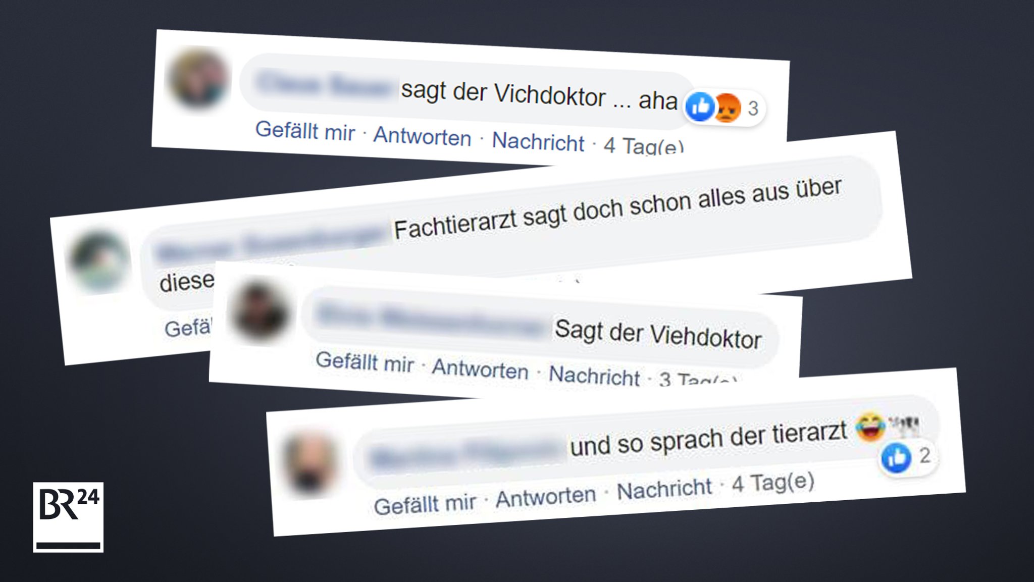 Kommentare auf BR24-Facebook zu Lothar Wieler als Tierarzt.