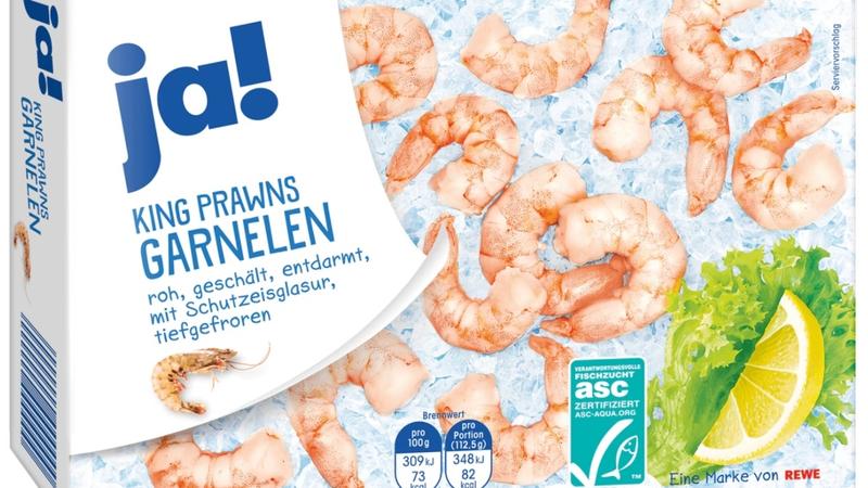Regional Statt Fernost Start Up Zuchtet Bayerische Bio Garnelen Br24