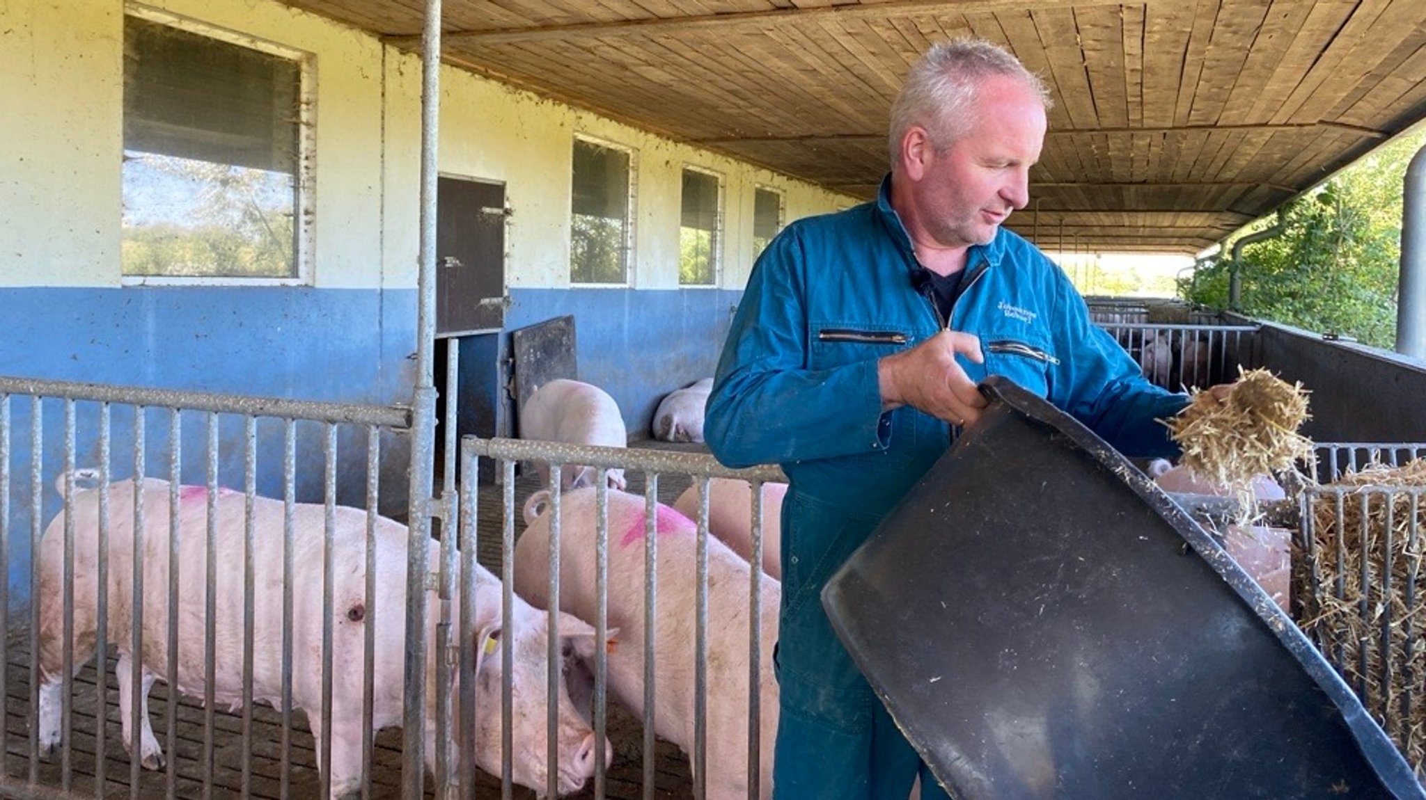 Landwirt füttert Tiere. 