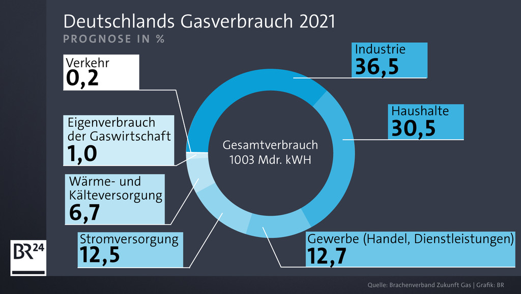 Deutschlands Gasverbrauch 2021