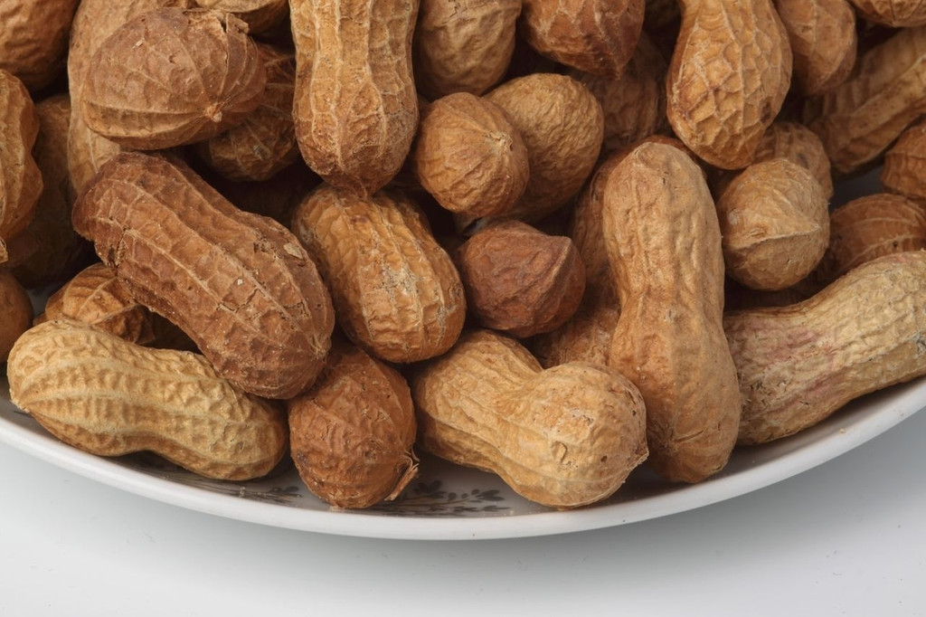 Erdnüsse sind für manche Menschen stark allergieauslösend. Eine Therapie gab es bislang nicht.