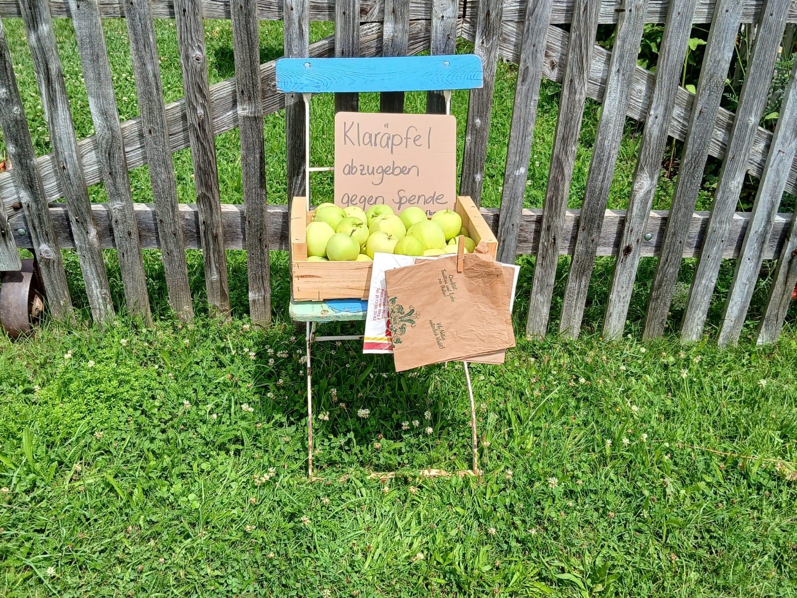Eine Kiste mit hellgelben Äpfeln steht auf einem Gartenstuhl vor dem Zaun. Dabei ein Schild mit der Aufschrift "Klaräpfel abzugeben gegen Spende"