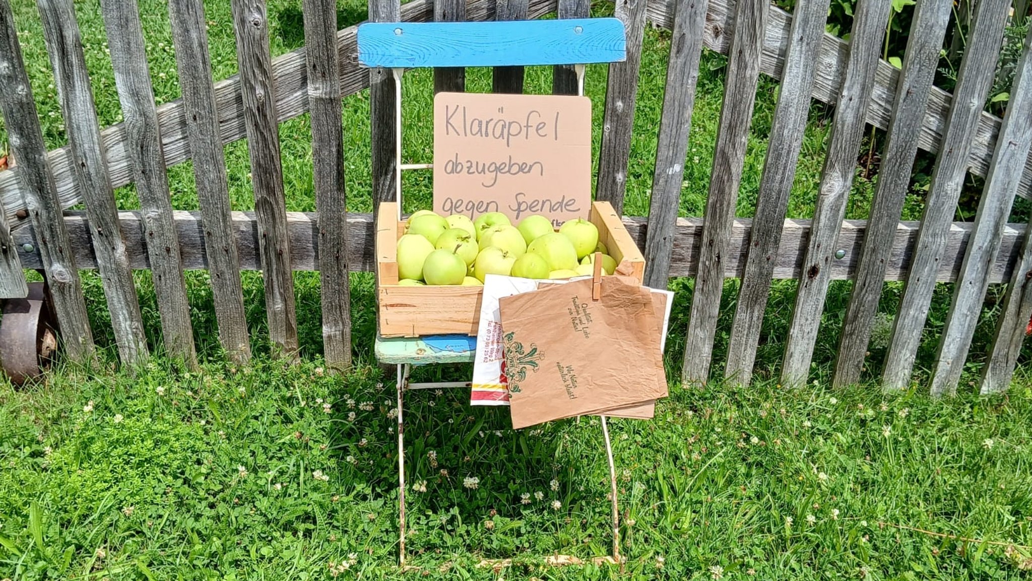 Eine Kiste mit hellgelben Äpfeln steht auf einem Gartenstuhl vor dem Zaun. Dabei ein Schild mit der Aufschrift "Klaräpfel abzugeben gegen Spende"