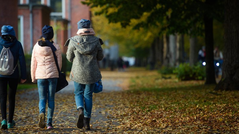 (Symbolbild) Mit der ersten Schulwoche startet auch der Herbst im Freistaat. | Bild: picture alliance/dpa | Gregor Fischer (Symbolbild) Mit der ersten Schulwoche startet auch der Herbst im Freistaat.