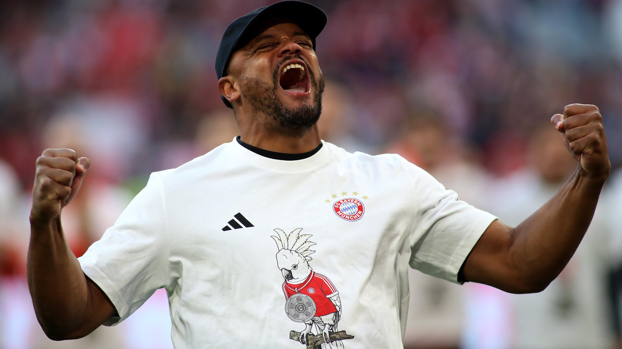 FC Bayern im System Kompany – eine Klasse für sich 