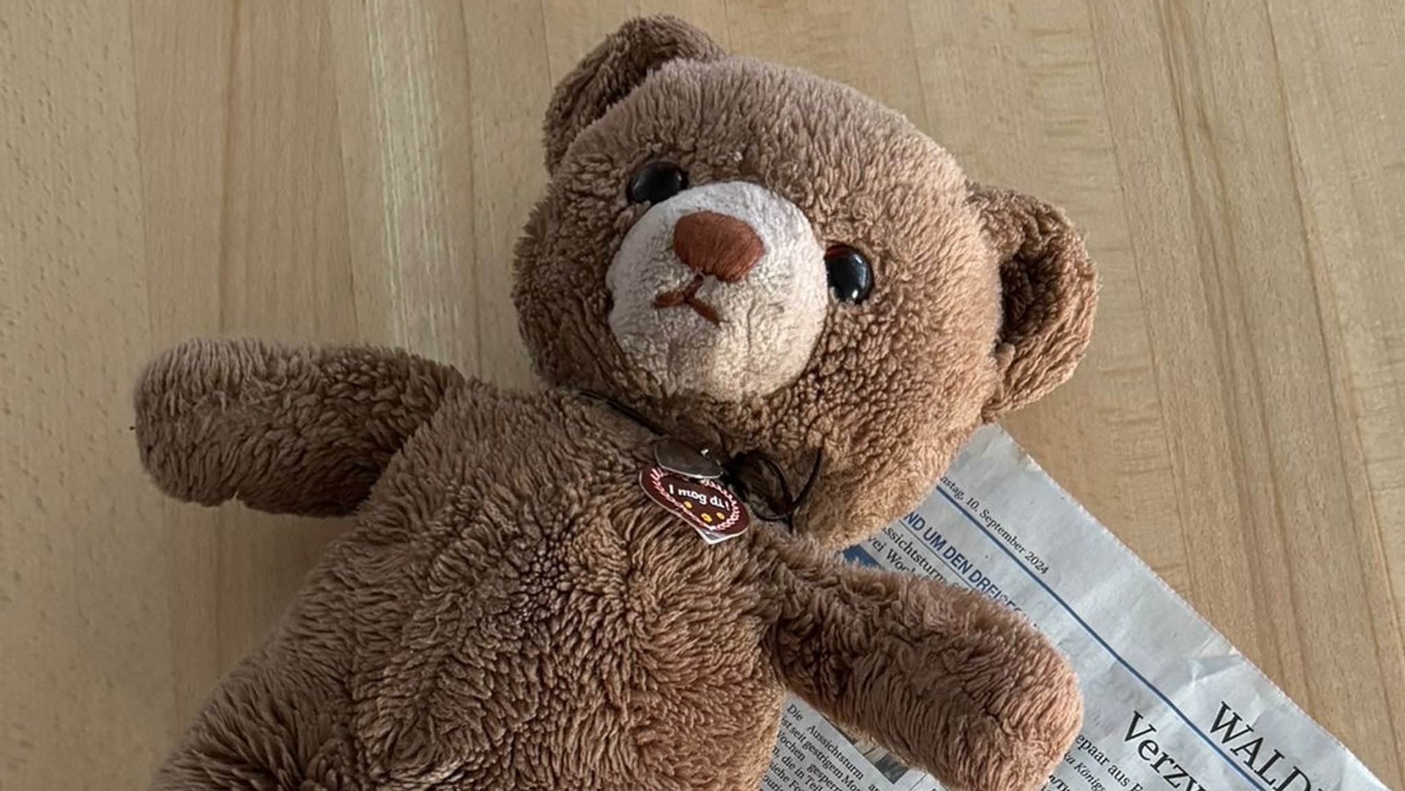 Beim Radeln verloren – Hochzeits-Teddy "Bärchen" wiedergefunden