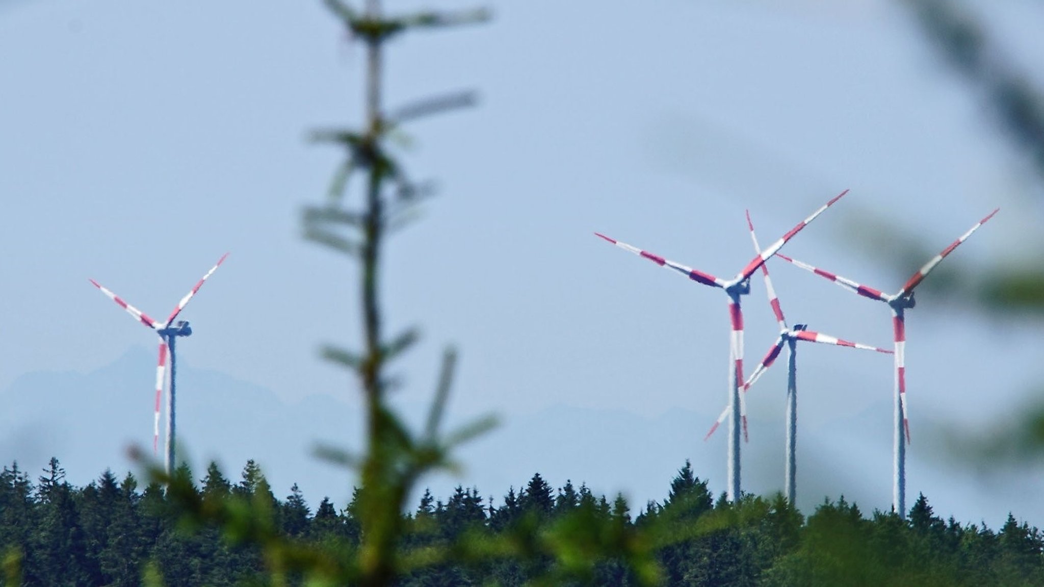 Windräder in einem Wald (Symbolbild)