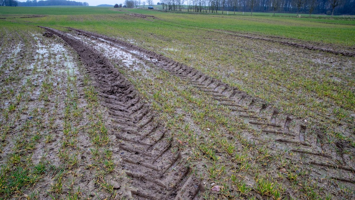 Nach Bauernprotesten: EU will laxere Umweltregeln erlauben