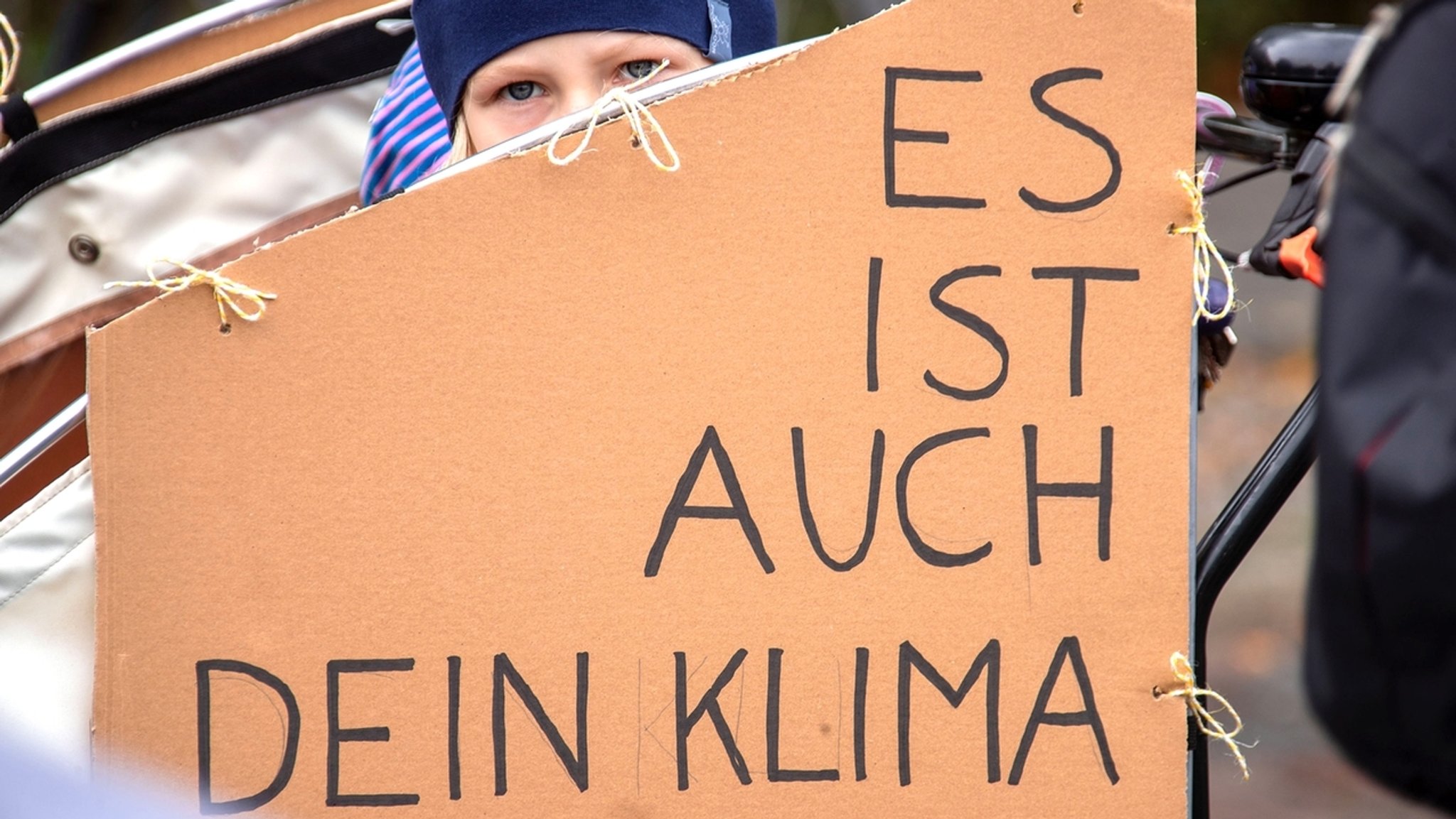 Klimawandel 2019 - Rückblick auf ein bewegtes Jahr