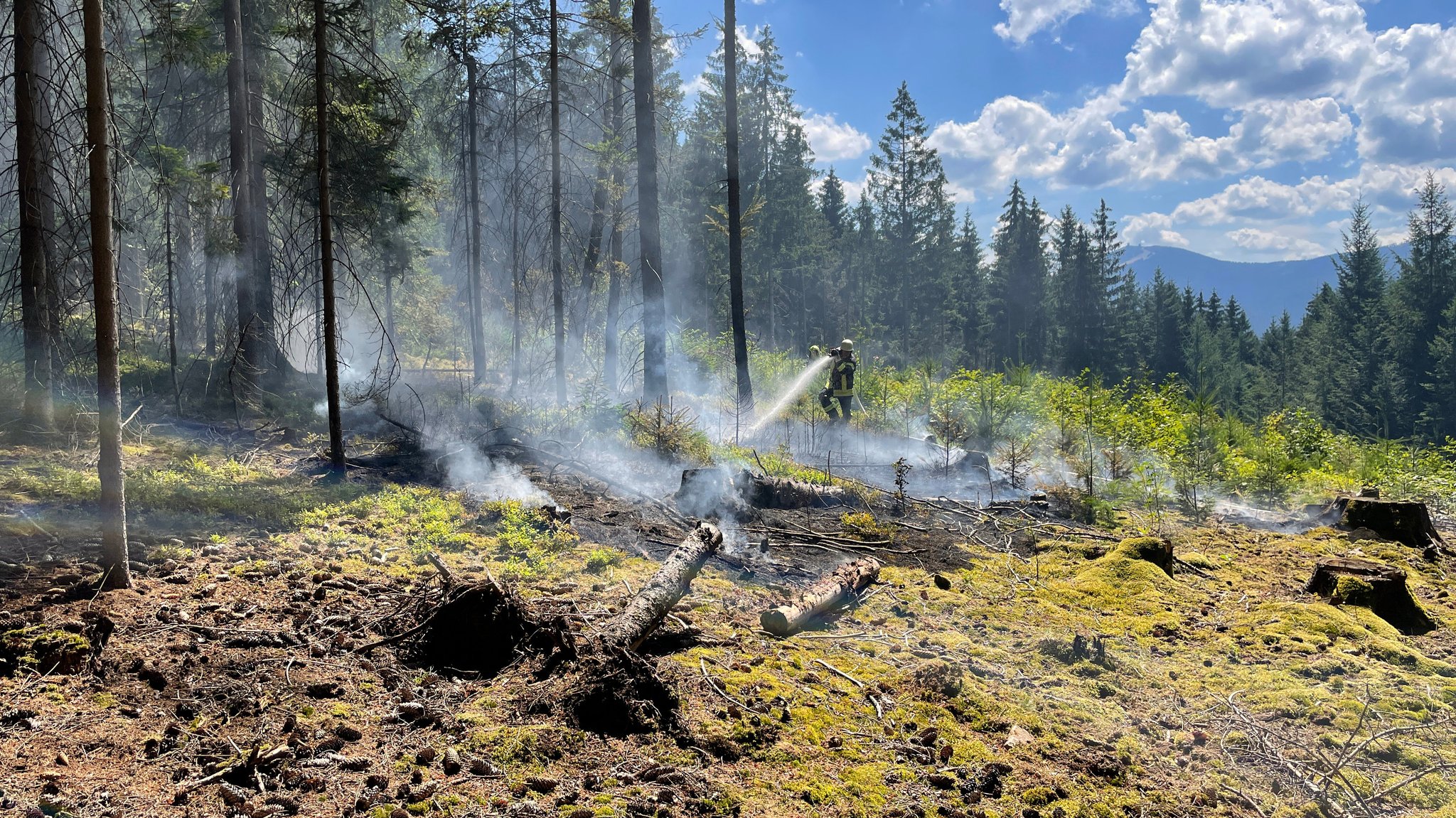 Feuerwehren löschen Waldbrand in Lohberg