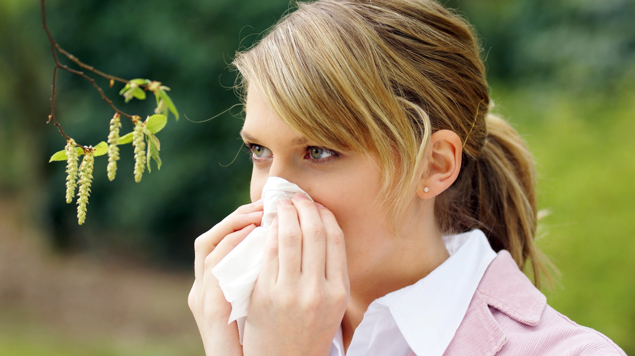 Eine Frau schnäuzt ins Taschentuch. Daneben Haselkätzchen.