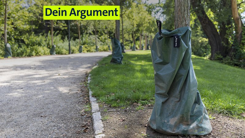 Ein Baum in einem Park, dessen Stamm von einem Bewässerungssack umschlossen wird. Diese Bewässerungssäcke schützen die Bäume vor Trockenheit. | Bild: picture alliance/imageBROKER/Gabriele Hanke Ein Baum in einem Park, dessen Stamm von einem Bewässerungssack umschlossen wird. Diese Bewässerungssäcke schützen die Bäume vor Trockenheit.