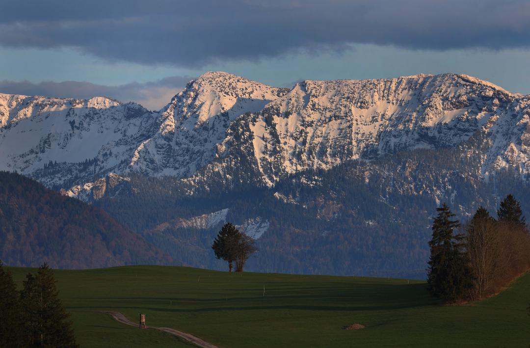 Archivbild: In Stötten in Bayern werden hinter grünen Wiesen liegende schneebedeckte Alpen von der Abendsonne beschienen. | Bild:dpa-Bildfunk/Karl-Josef Hildenbrand