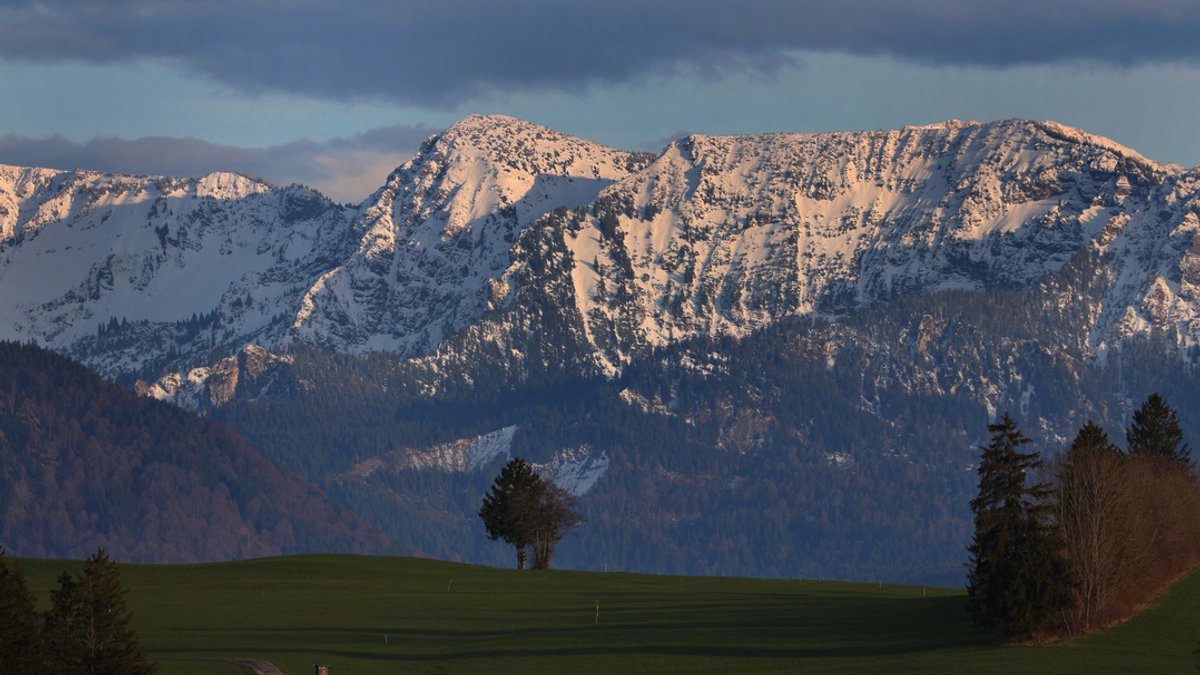 Archivbild: In Stötten in Bayern werden hinter grünen Wiesen liegende schneebedeckte Alpen von der Abendsonne beschienen.