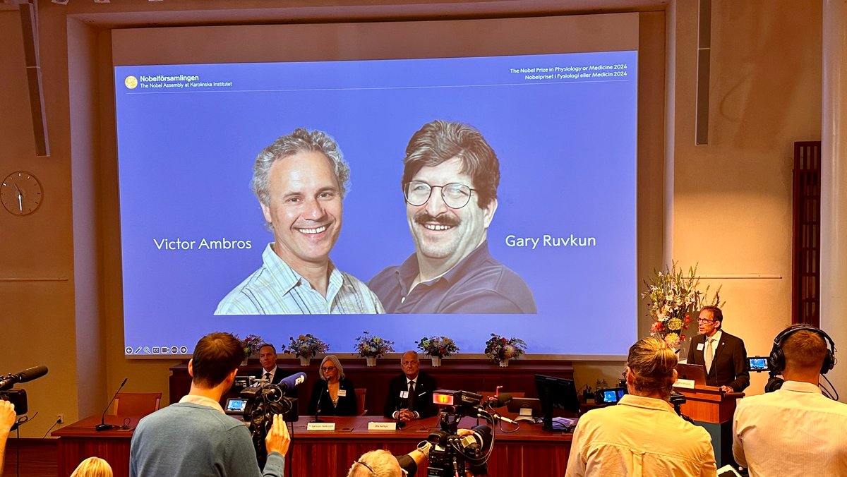 Medizin-Nobelpreis für RNA-Forscher Ambros und Ruvkun