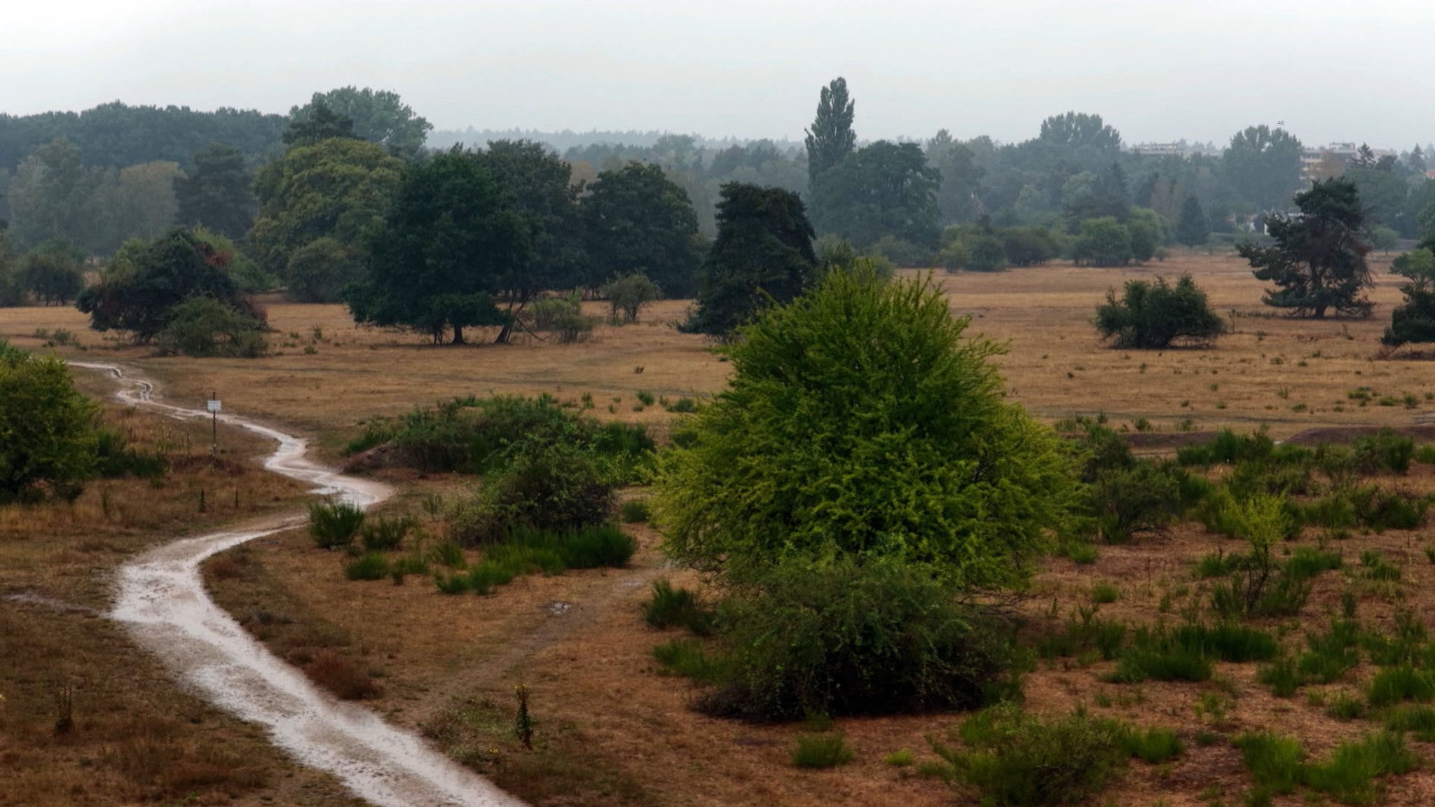 Das Moorenbrunnfeld im Süden Nürnbergs | Bild: BR Das Moorenbrunnfeld im Süden Nürnbergs