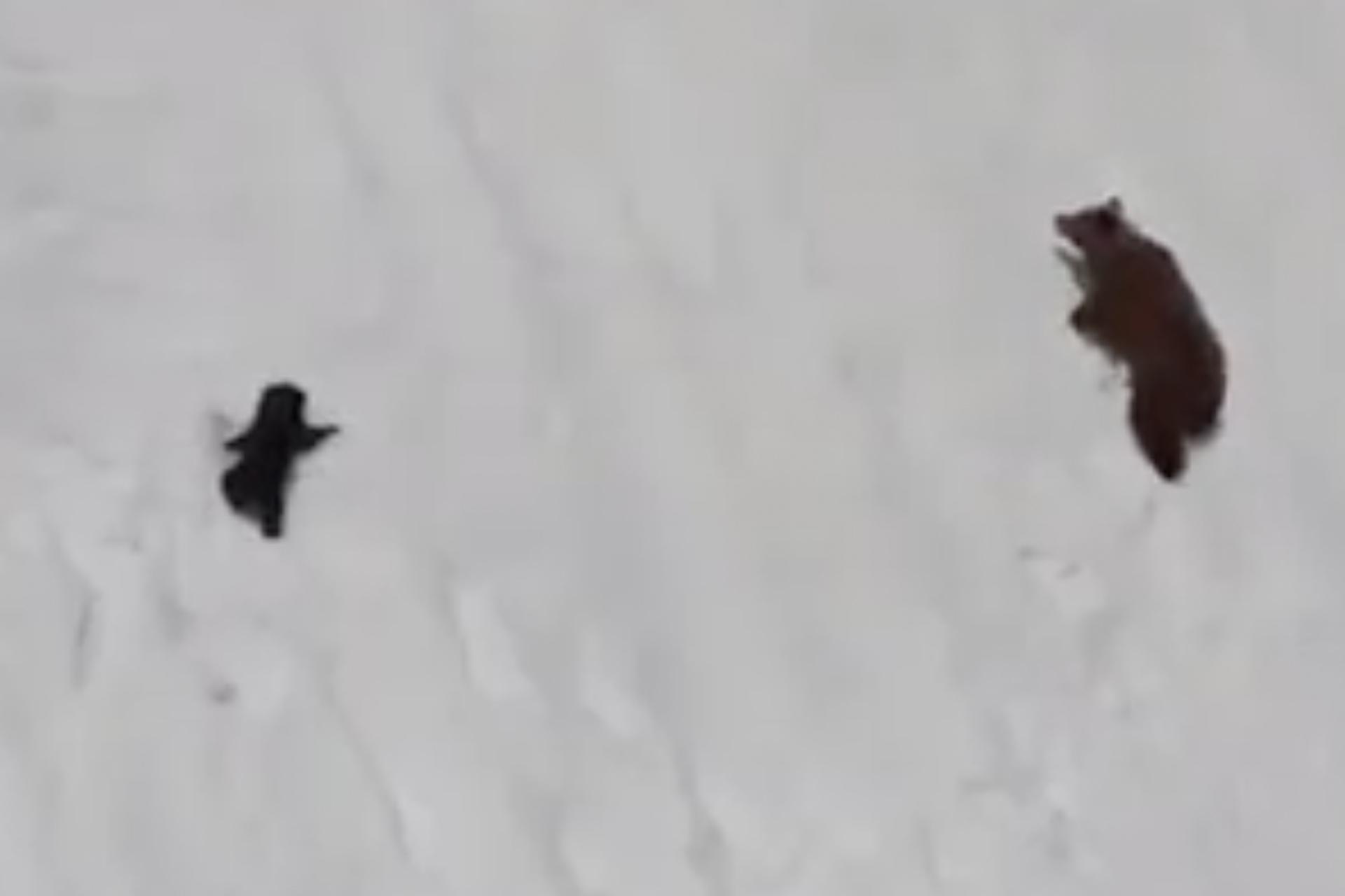 Оператор Снимает Порно