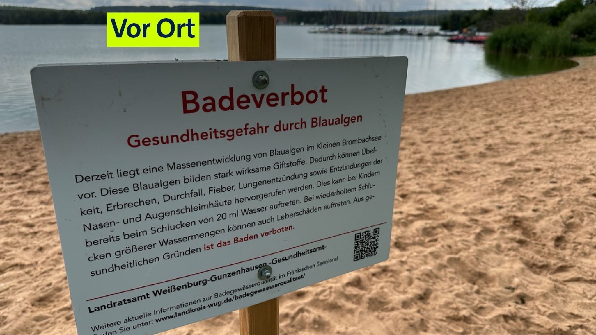 Blaualgen: Millionenverluste fürs Fränkische Seenland