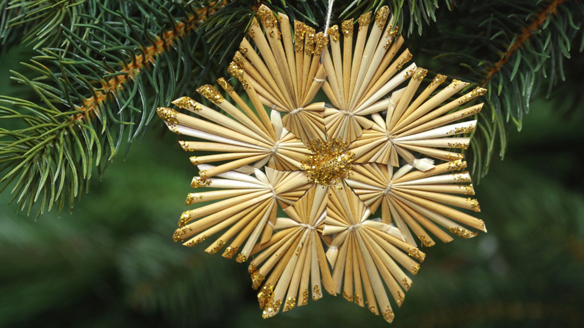 Strohstern am Tannenbaum