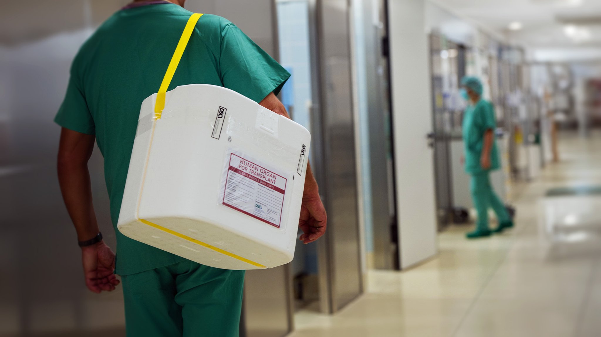 Symbolbild Organspende