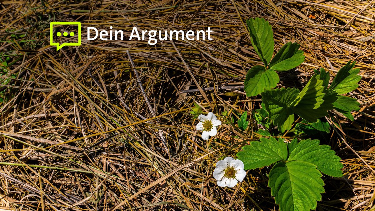 Trockenheit: Das kann man im eigenen Garten tun