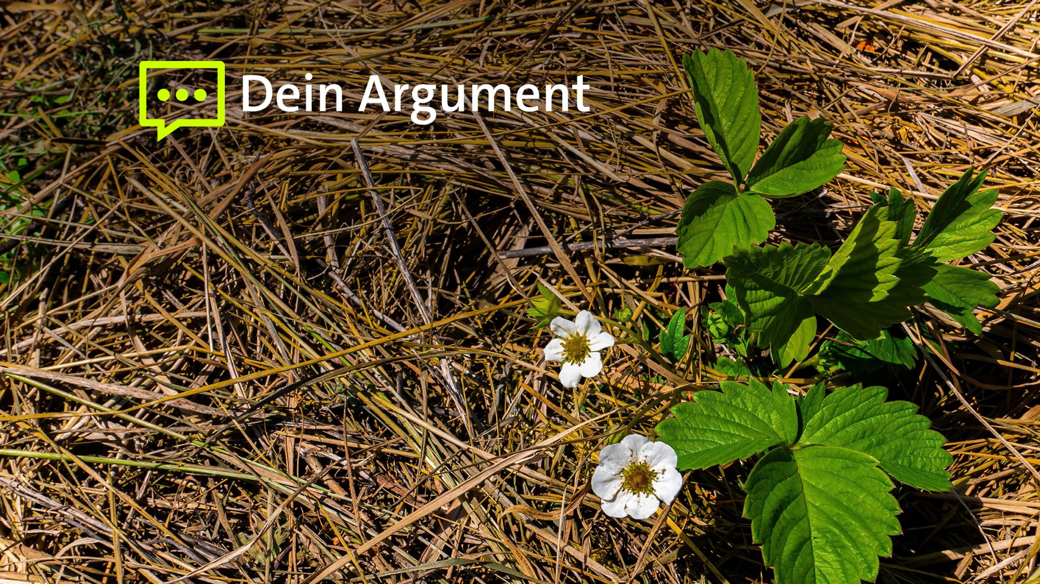 Trockenheit: Das kann man im eigenen Garten tun