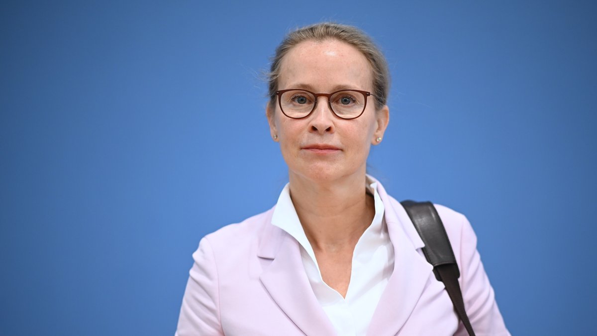 Wie die Kampagne gegen Frauke Brosius-Gersdorf ins Laufen kam